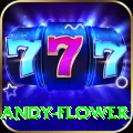 andy flower Apps (Tools & Injectors) VIP v5.0.3