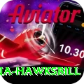 antigua hawksbill Turbo Pro v5.1.0
