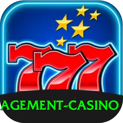 bankroll management casino Deluxe Pro v4.5.5 - 2