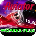 chris woakes Official v1.0.5