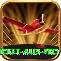 cricket aus Money Super v1.6.6