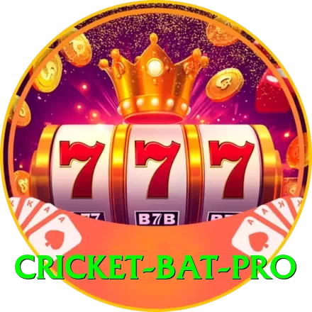cricket bat - Real Money Deluxe - 2