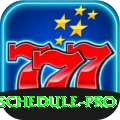 cricket match schedule Turbo v5.5.2