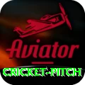 cricket pitch Ultimate v1.7.6