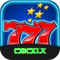 crickex Max v5.8.3