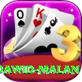 dawid malan Plus Edition v2.6.7