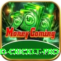 england cricket Game Mega v5.1.7