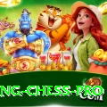 flying chess Pakistan Prime v3.9.4