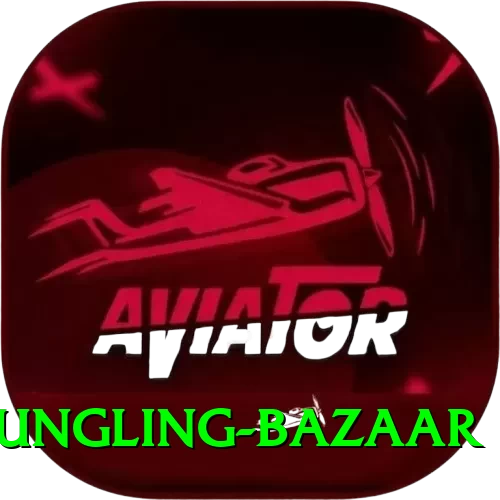 fungling bazaar Gold Pro v5.8.8 - 2