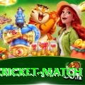 india cricket match Elite v2.6.1