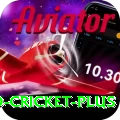 india england cricket Game Prime v2.5.6