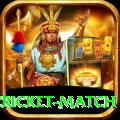 india pakistan cricket match Turbo Pro v4.8.0