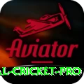 international cricket Casino Official v3.5.9