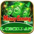 live cricket app Pro Max v5.3.1