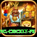make money betting cricket pk Premium Edition v2.7.3
