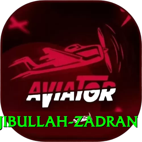 najibullah zadran VIP v3.2.4 - 2