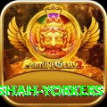 naseem shah yorkers Turbo Pro v4.4.7