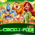 one cricket Games VIP