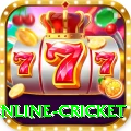 online cricket Deluxe Pro v1.3.2
