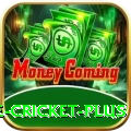 online cricket APK Plus v4.3.3