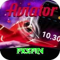 pkspin Plus Edition v4.6.4
