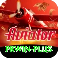 pkwin Plus Pro vv3.3.3