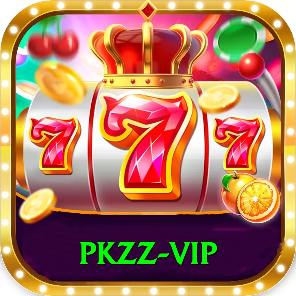 pkzz - VIP Pro - 2