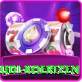 rudi koertzen Pro Edition v3.0.0