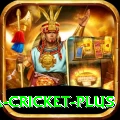 sa cricket Casino Official v4.8.4