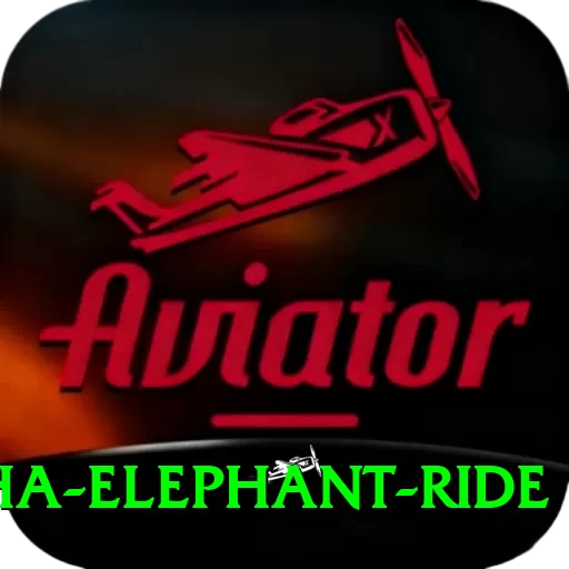 sauraha elephant ride Plus Edition v5.4.2 - 2