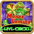 smartcric live cricket Turbo v2.4.3