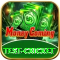 test cricket Premium Edition v2.2.3
