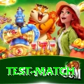 test match Deluxe Pro v5.3.7