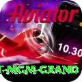 the signature at mgm grand Pro Edition v5.6.3