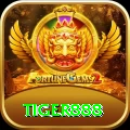 tiger888 VIP v5.2.6