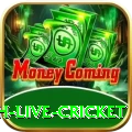 watch live cricket Pro v3.8.1