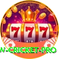 willow cricket Bonus Prime v2.8.6